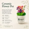 planters as corporate gifts in delhi planters as corporate gifts in delhi