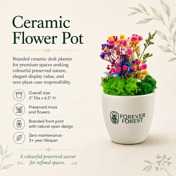 planters as corporate gifts in delhi