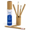 Plantable Pens Set for Corporate Gifts Plantable Pens Set for Corporate Gifts