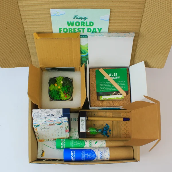 Sustainable New Year Gift Hampers in Delhi NCR