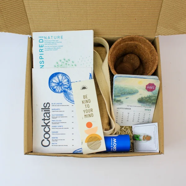 Sustainable New Year Gift Hampers in Delhi Noida Gurugram