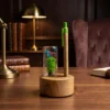 Wholesale Eco Friendly Desk Accessories India Wholesale Eco Friendly Desk Accessories India