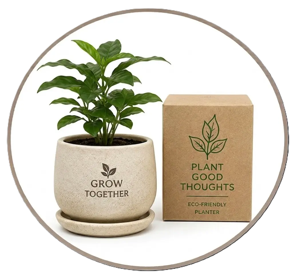Eco-friendly desktop desk planters for employee wellness gifts