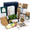 Eco Friendly Employee Diwali Kits in Delhi